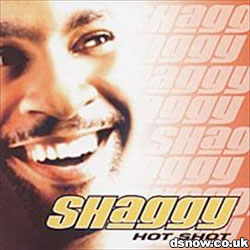Shaggy - Hots Shot album cover